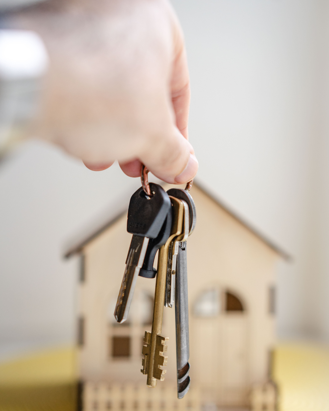 Agent Immobilier